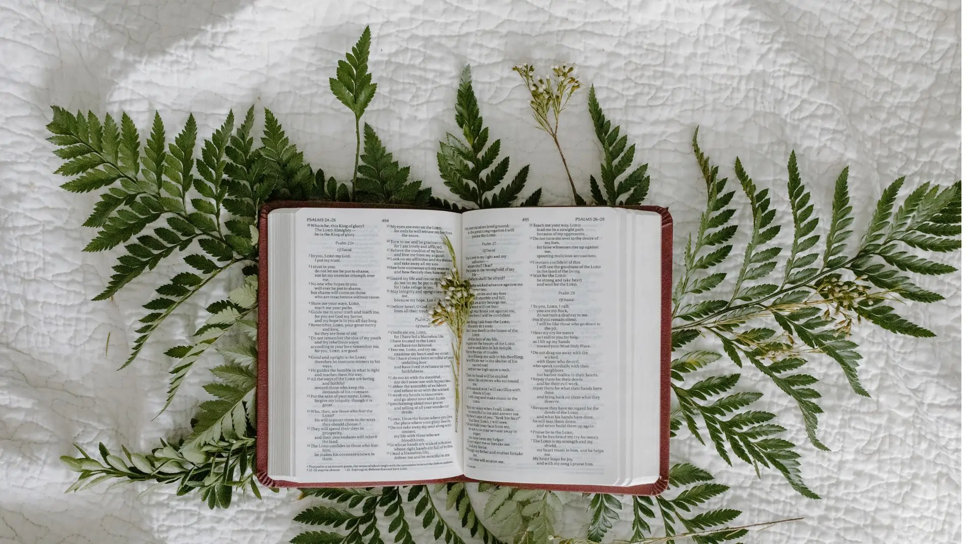 Sermon Ideas on Generosity: Biblical Insights and Practical Applications
